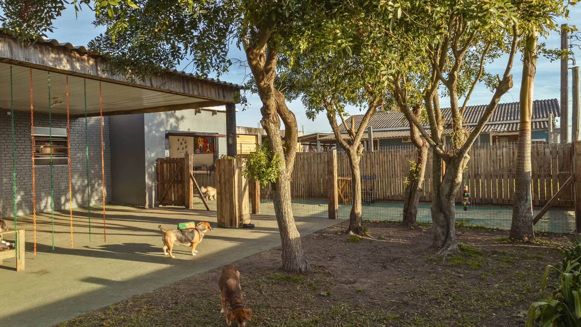 É aqui que eu corro, brinco e faço novos amigos!