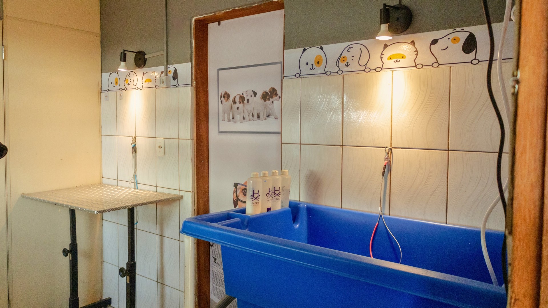 Não é só banho, é experiência premium!