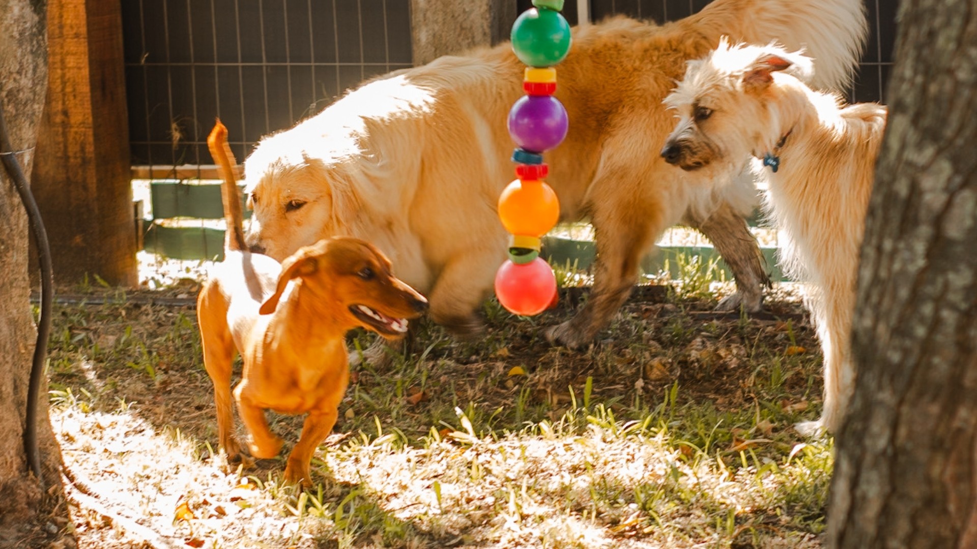 Aqui a gente corre, brinca, faz amizades e gasta energia do jeitinho certo!
