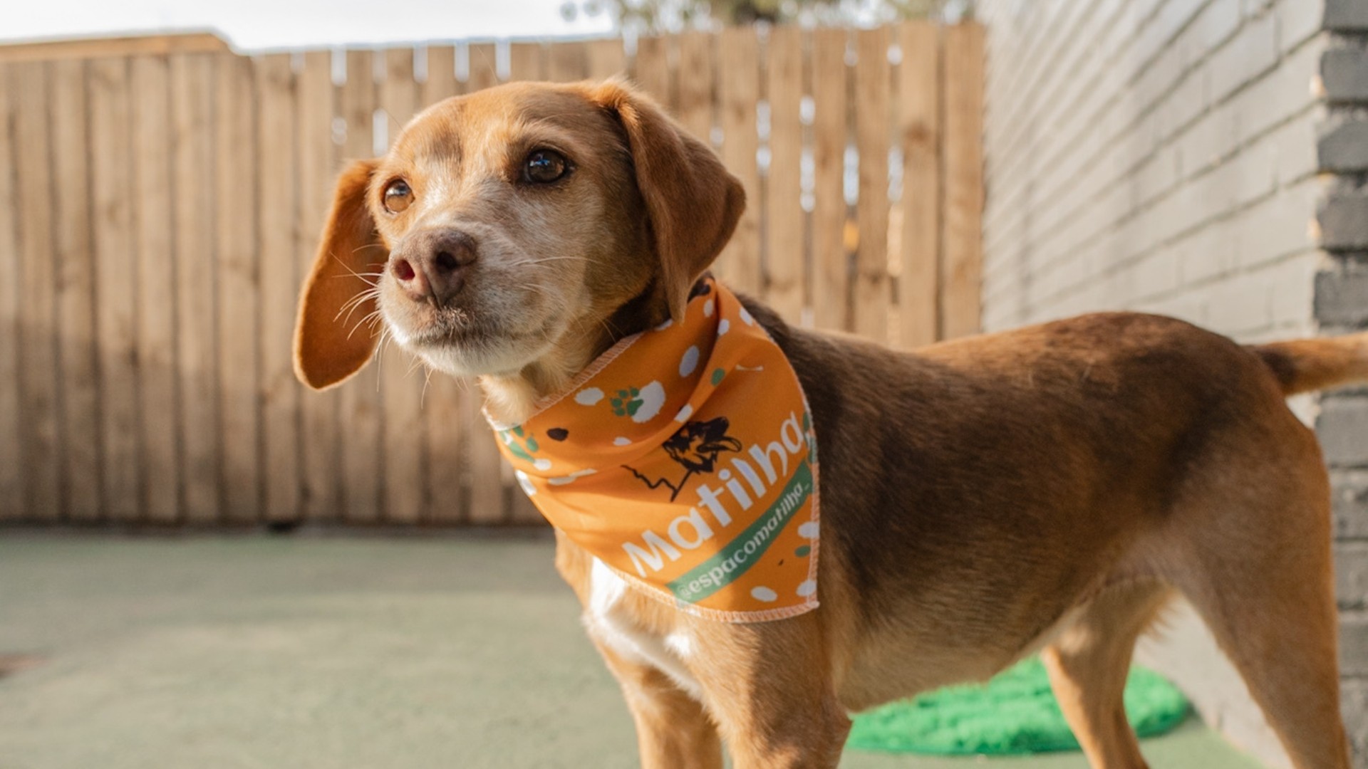 Me segue que eu te mostro cada cantinho desse lugar incrível!