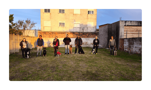 Adestramento em grupo