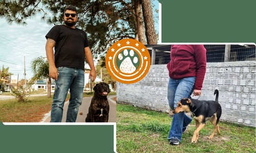 Adestramento particular