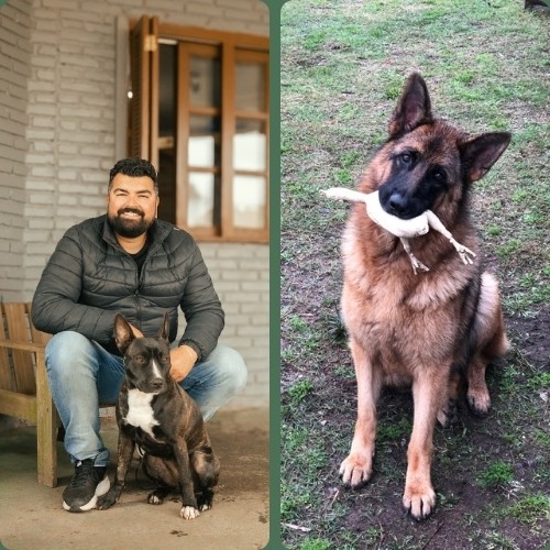 adestramento particular 