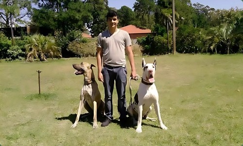 Para quem é indicado?